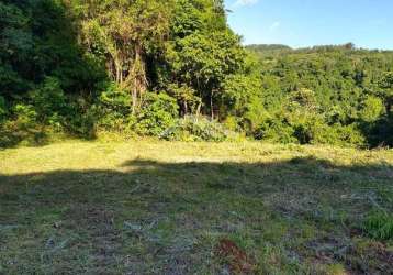 Área de terra com córregos e rica em mata nativa à venda em linha nova na serra gaúcha