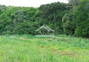 Terreno no interior da cidade de nova petrópolis na serra gaúcha