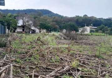 Excelente terreno plano à venda na cidade de picada café, na serra gaúcha.