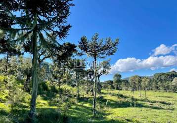 Chácara / sítio à venda na urubici, zona rural, urubici, 200000 m2 por r$ 1.700.000