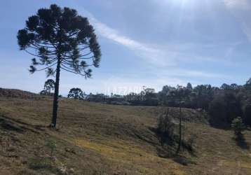 Chácara / sítio à venda na invernador, invernador, urubici, 20000 m2 por r$ 560.000