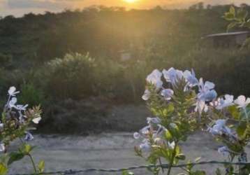 Lote/terreno para venda possui 1000 metros quadrados em são severino - gravatá - pe