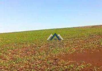 Fazenda à venda, 1210000 m² por r$ 11.500.000,00 - rural - bandeirantes/pr