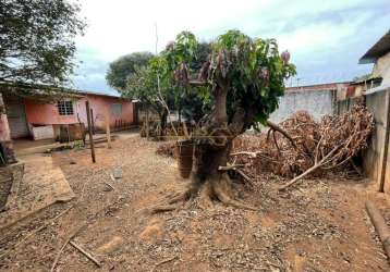 Terreno à venda no bairro centro - araguari/mg