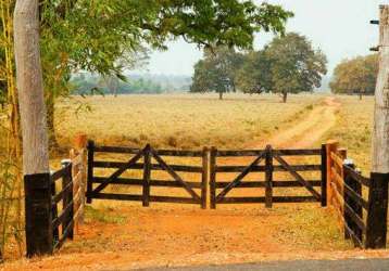 Fazenda em araguari