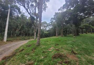 Terreno à venda na avenquinha, campo alegre  por r$ 690.000