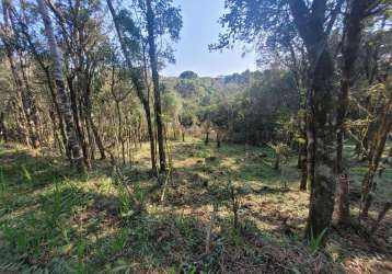 Terreno à venda na zona rural, campo alegre  por r$ 610.000