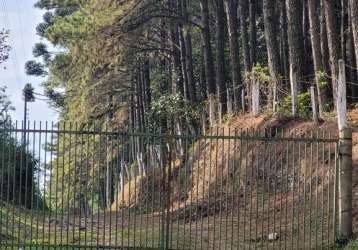 Terreno à venda no rio vermelho, campo alegre  por r$ 690.000