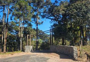 Terreno à venda no bateias de cima, campo alegre  por r$ 625.537