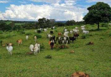 Fazenda à venda, 968000 m² por r$ 5.300.000,00 - zona rural hidrolandia - hidrolândia/go