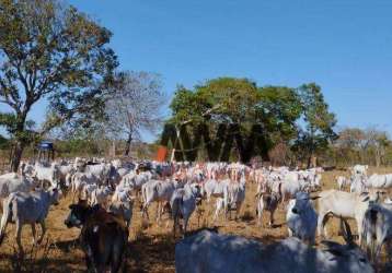 Fazenda à venda, 11567600 m² por r$ 20.315.000,00 - zona rural - lagoa do tocantins/to