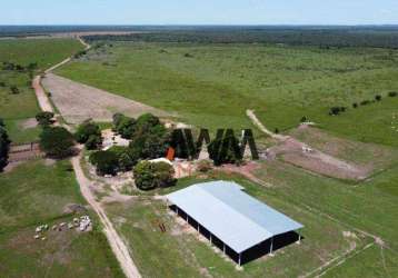 Fazenda à venda, 32912000 m² por r$ 70.000.000,00 - zona rural - peixes/to