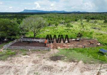 Fazenda à venda, 41220000 m² por r$ 28.000.000,00 - zona rural - conceição do tocantins/to