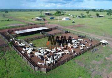 Fazenda à venda, 62800000 m² por r$ 130.000.000,00 - zona rural - paranatinga/mt