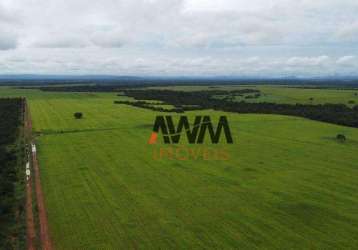 Fazenda à venda, 48400 hectares por r$ 120.000.000 - centro - formosa/go