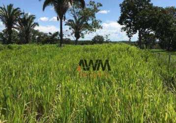 Chácara à venda, 12100 ha por r$ 580.000 - chácara na zona rural - itapirapuã/go