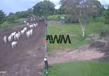 Fazenda à venda, 847.00 hectares por r$ 8.000.000 - zona rural - cocalinho/mt