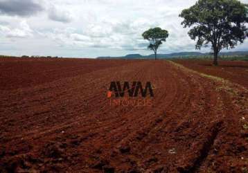 Fazenda à venda, 1380000 m² por r$ 10.000.000,00 - zona rural - itapuranga/go