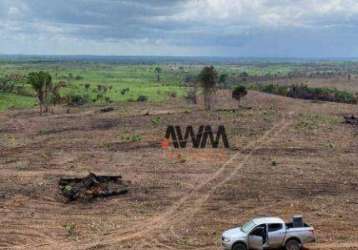 Fazenda à venda, 10406000 m² por r$ 27.000.000,00 - centro - goianésia do pará/pa