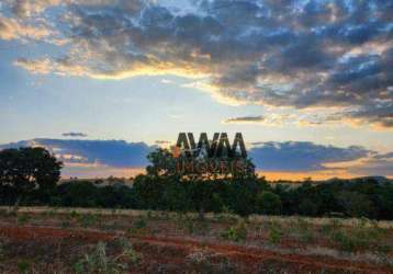 Fazenda à venda, 3291200 m² por r$ 10.900.000,00 - zona rural - jaraguá/go