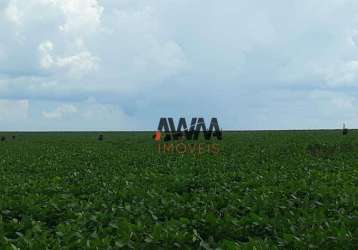 Fazenda à venda, 11520000 m² por r$ 65.000.000,00 - anhangüera - goiânia/go