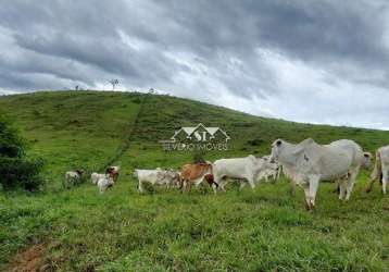 Fazenda- paraíba do sul, centro