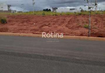 Terreno para alugar, portal do vale - uberlândia/mg - rotina imobiliária