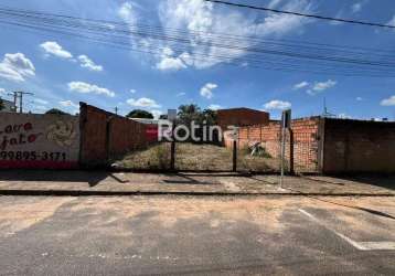 Terreno para alugar, jardim patrícia - uberlândia/mg - rotina imobiliária