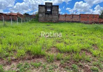 Terreno para alugar, shopping park - uberlândia/mg - rotina imobiliária