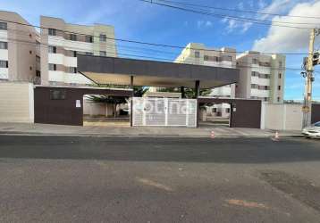 Apartamento para alugar, 2 quartos, panorama - uberlândia/mg - rotina imobiliária