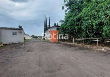 Galpão para alugar, distrito industrial - uberlândia/mg - rotina imobiliária