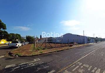 Terreno para alugar, planalto - uberlândia/mg - rotina imobiliária