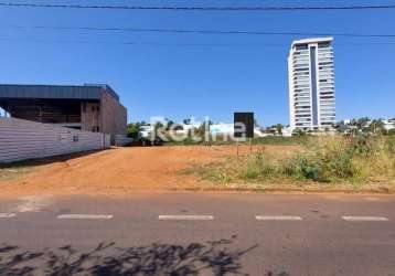 Terreno para alugar, morada da colina - uberlândia/mg - rotina imobiliária