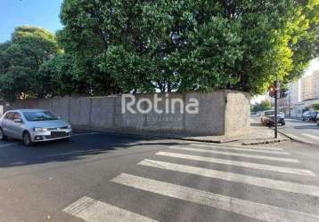 Área para alugar, martins - uberlândia/mg - rotina imobiliária