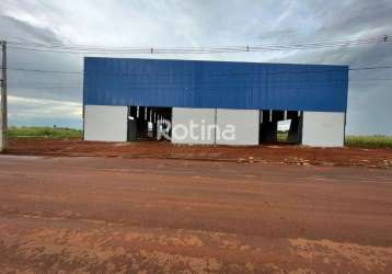 Galpão para alugar, centro empresarial leste - uberlândia/mg - rotina imobiliária