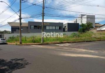 Área para alugar, jardim botânico - uberlândia/mg - rotina imobiliária