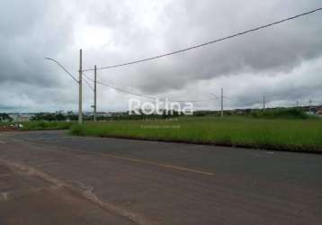 Área para alugar, shopping park - uberlândia/mg - rotina imobiliária