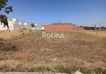 Terreno para alugar, minas gerais - uberlândia/mg - rotina imobiliária