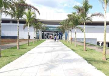 Loja para alugar, mansões aeroporto - uberlândia/mg - rotina imobiliária