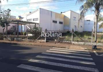 Área para alugar, osvaldo rezende - uberlândia/mg - rotina imobiliária