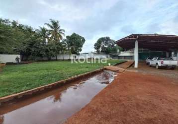 Galpão para alugar, osvaldo rezende - uberlândia/mg - rotina imobiliária