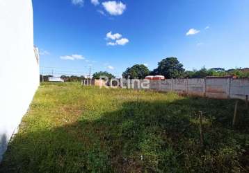 Terreno para alugar, cidade jardim - uberlândia/mg - rotina imobiliária