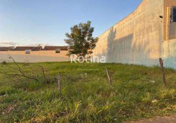 Terreno para alugar, alto umuarama - uberlândia/mg - rotina imobiliária