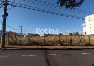 Área para alugar, custódio pereira - uberlândia/mg - rotina imobiliária