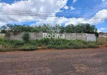 Terreno para alugar, cidade jardim - uberlândia/mg - rotina imobiliária