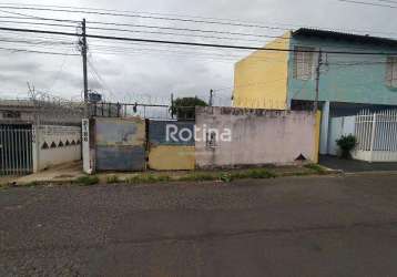 Área para alugar, martins - uberlândia/mg - rotina imobiliária