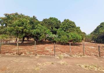 Terreno para alugar, chacaras tubalina e quartel - uberlândia/mg - rotina imobiliária