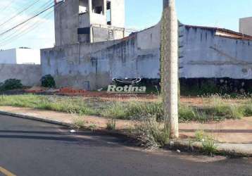 Terreno para alugar, luizote de freitas - uberlândia/mg - rotina imobiliária