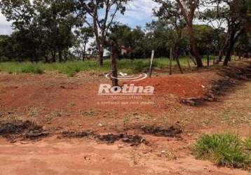 Terreno para alugar, distrito industrial - uberlândia/mg - rotina imobiliária