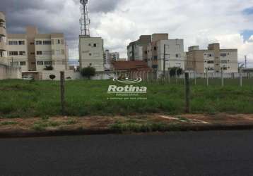 Terreno para alugar, santa mônica - uberlândia/mg - rotina imobiliária